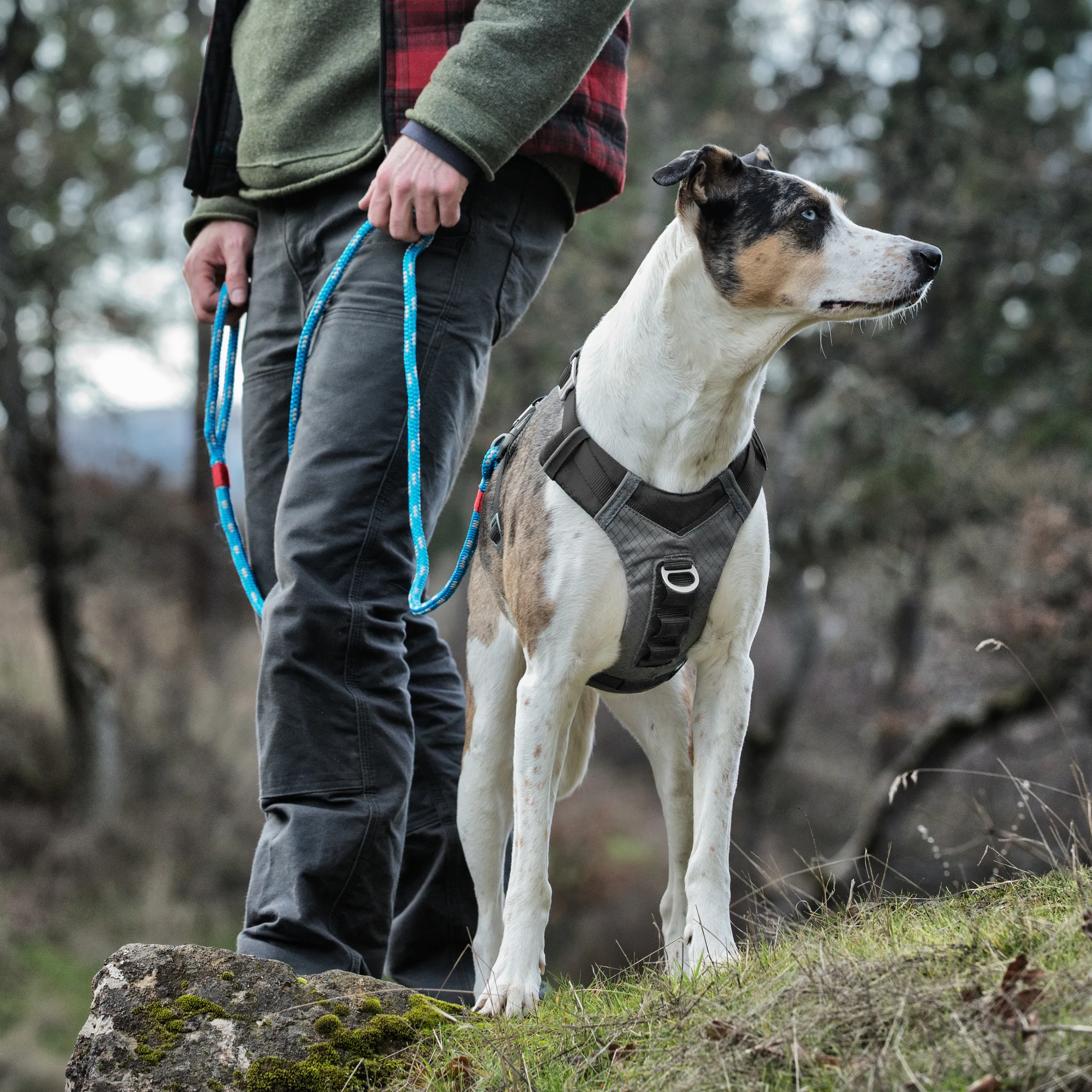 Kurgo Journey Air Dog Harness Black