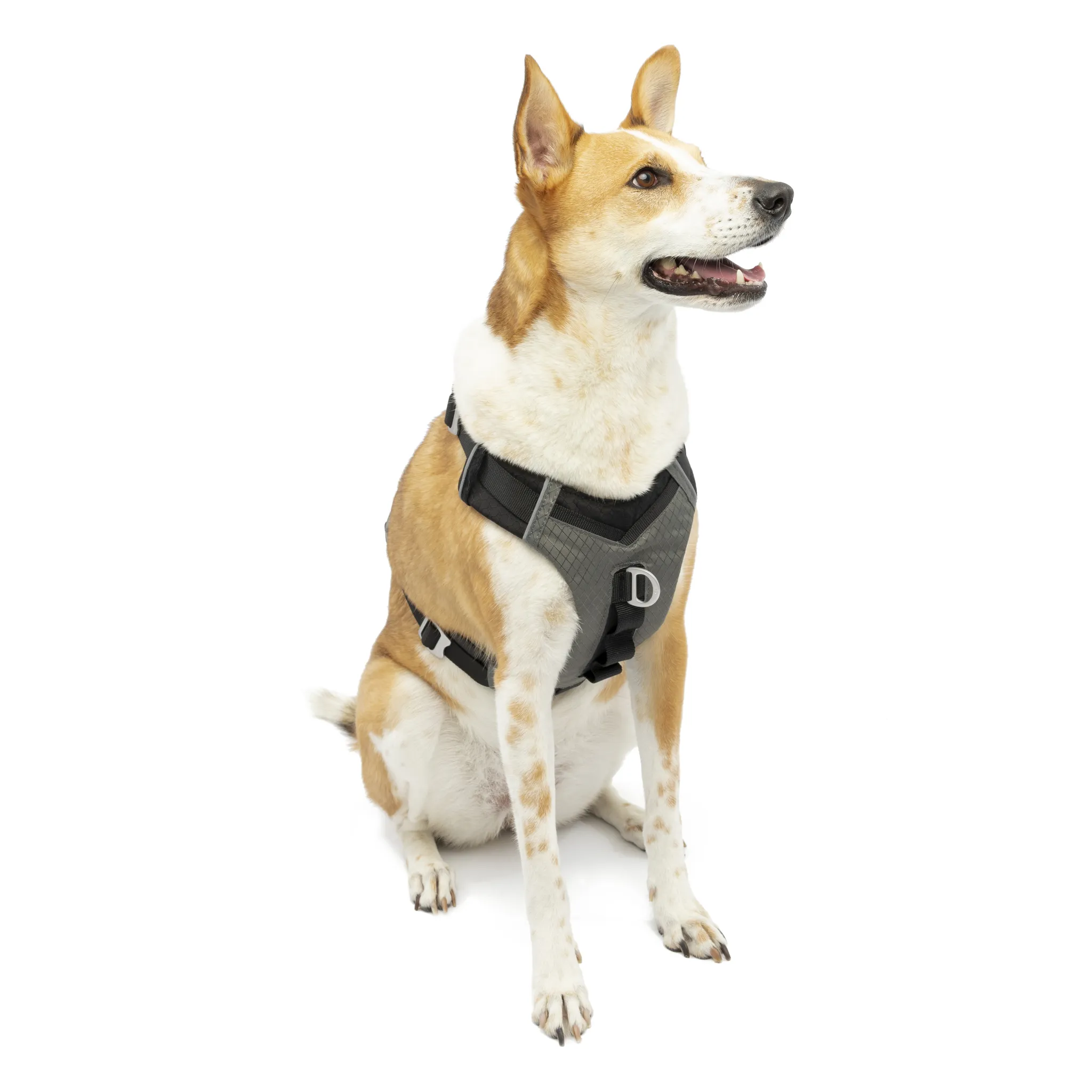 Kurgo Journey Air Dog Harness Black