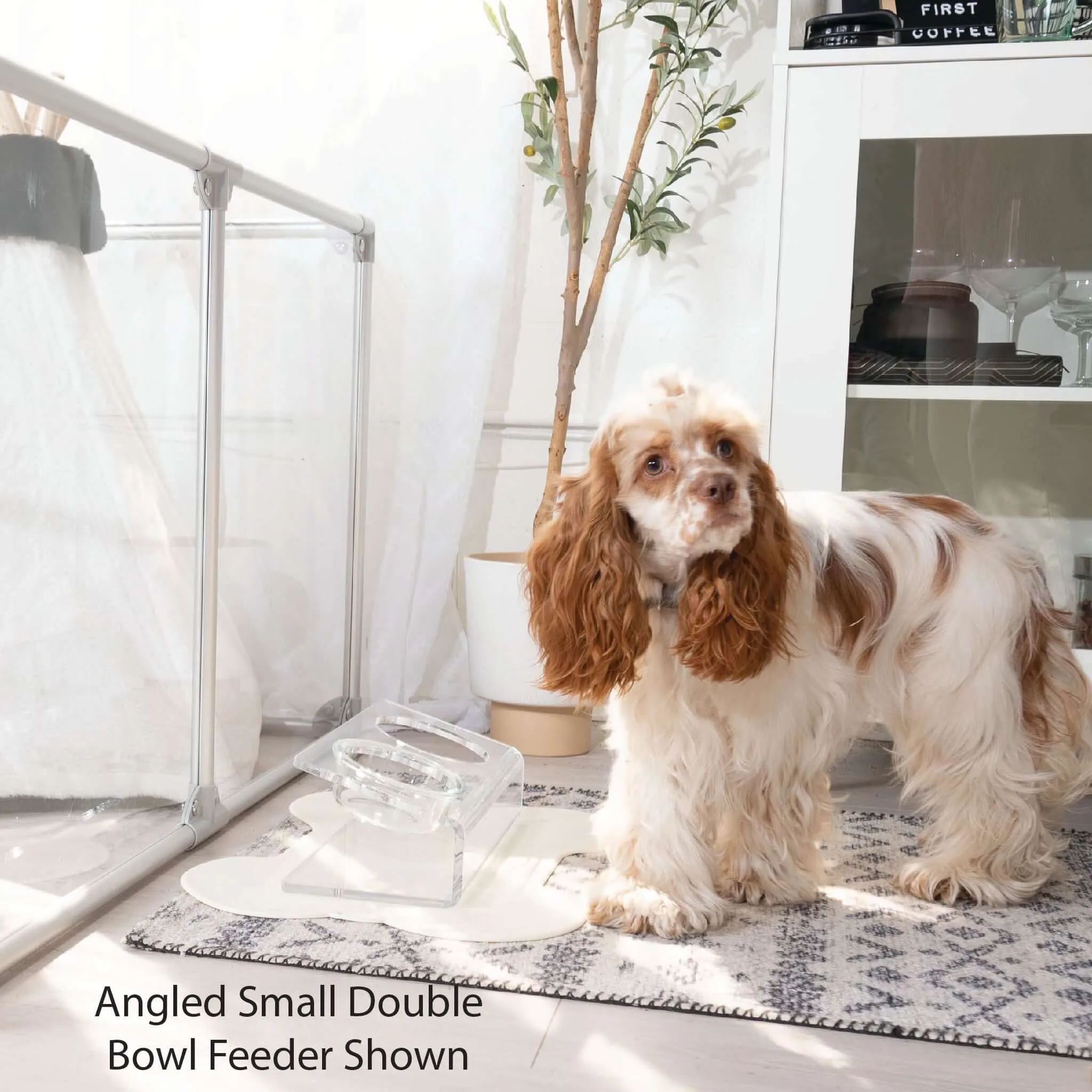 Modern Acrylic Glass Bowl Feeders, Angled Style, Double Bowl
