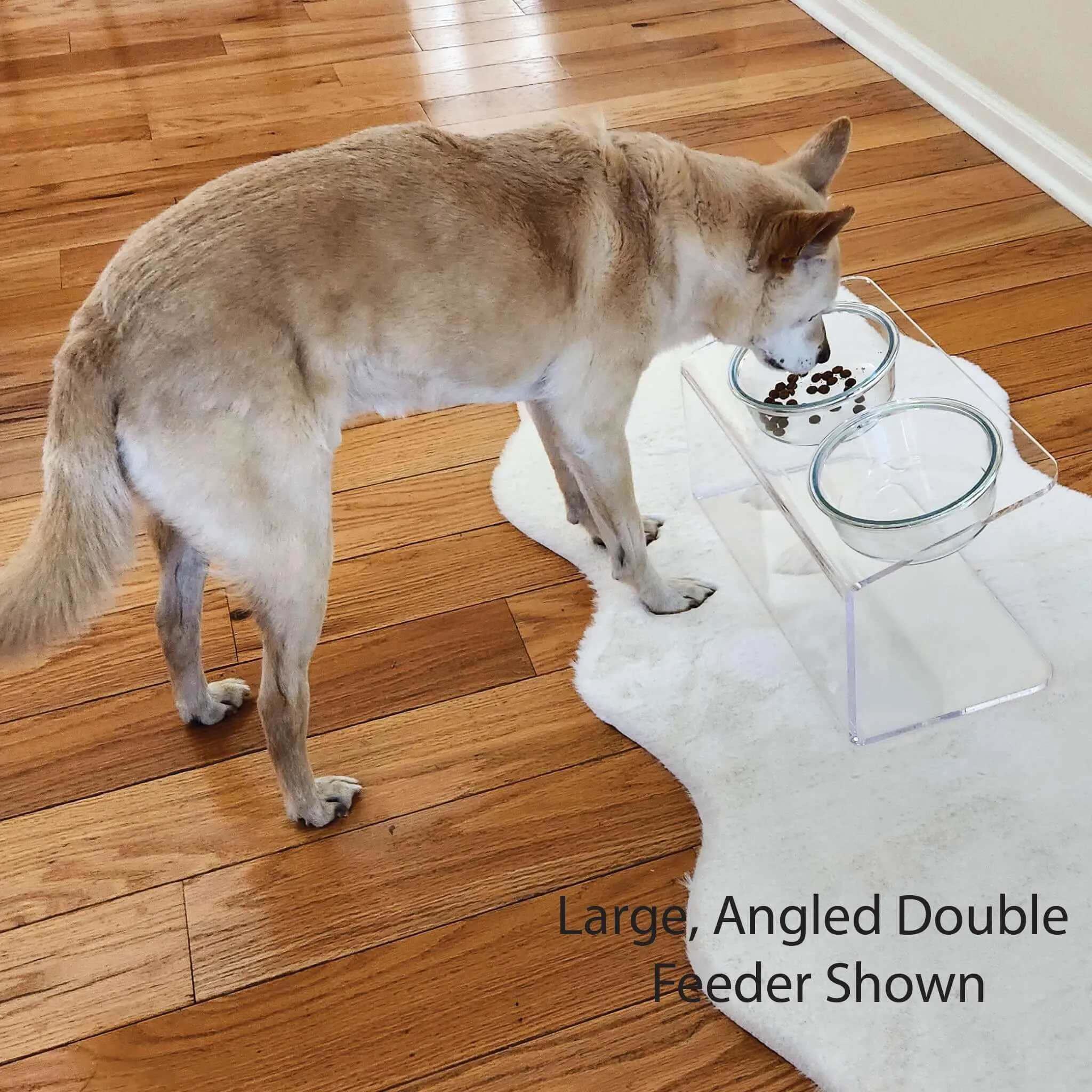 Modern Acrylic Glass Bowl Feeders, Angled Style, Double Bowl