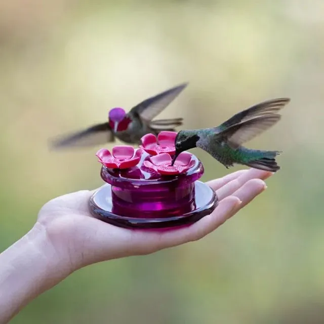 Perky-Pet Handheld & Tabletop Hummingbird Feeder 9100