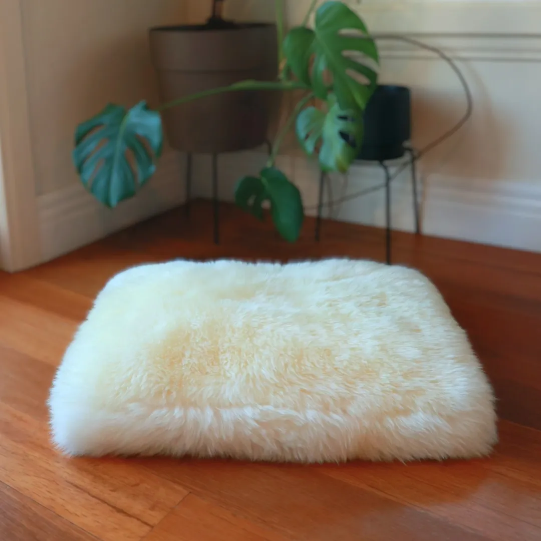 Pet Bed
