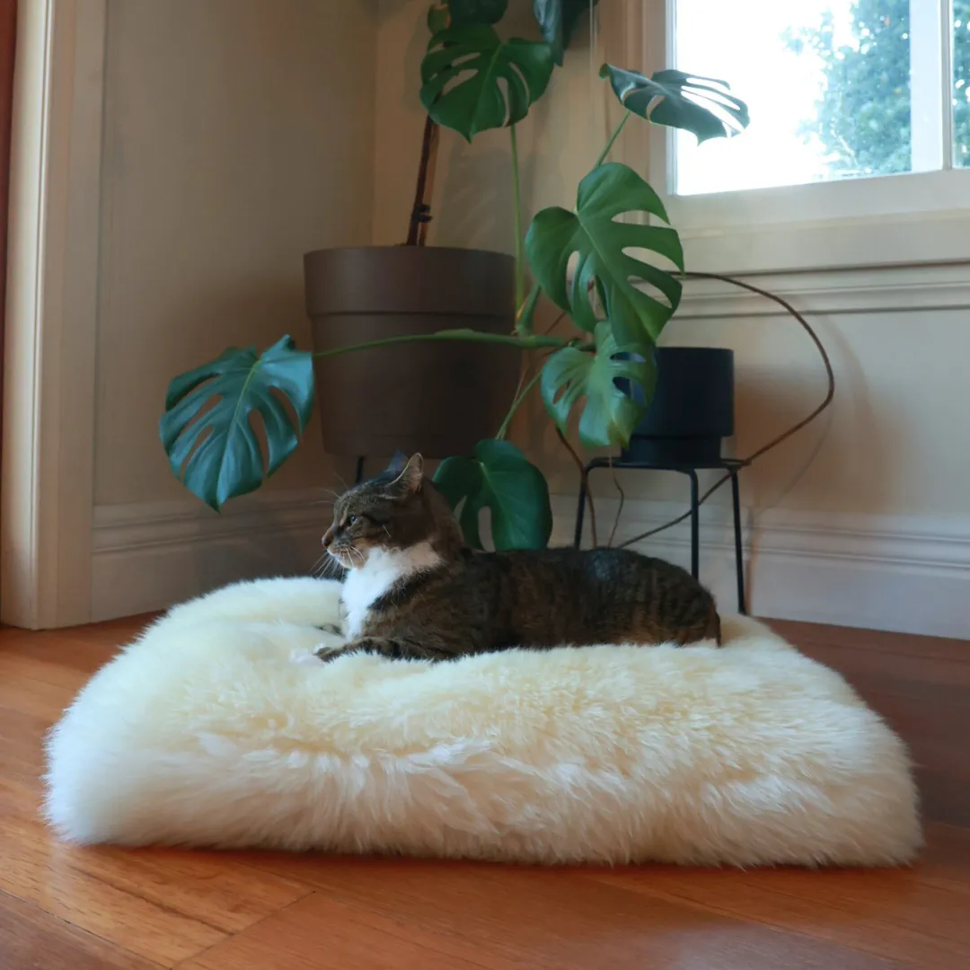 Pet Bed