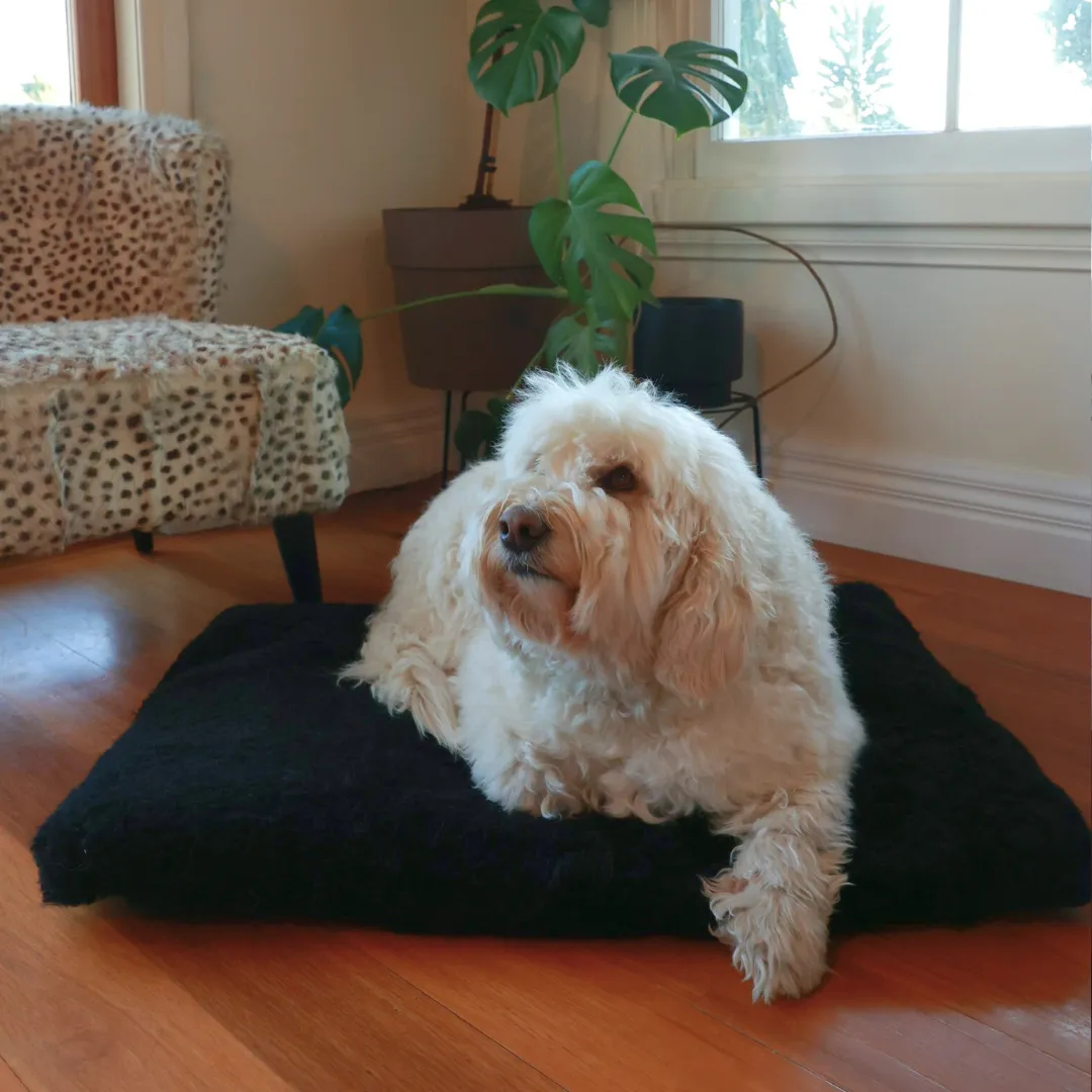 Pet Bed