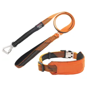 Reflective Dog Leash and Collar Straps