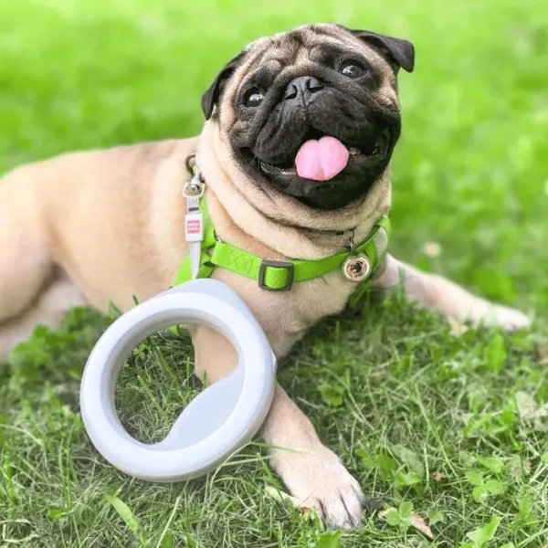 Round Durable and Reliable Retractable Dog Leash