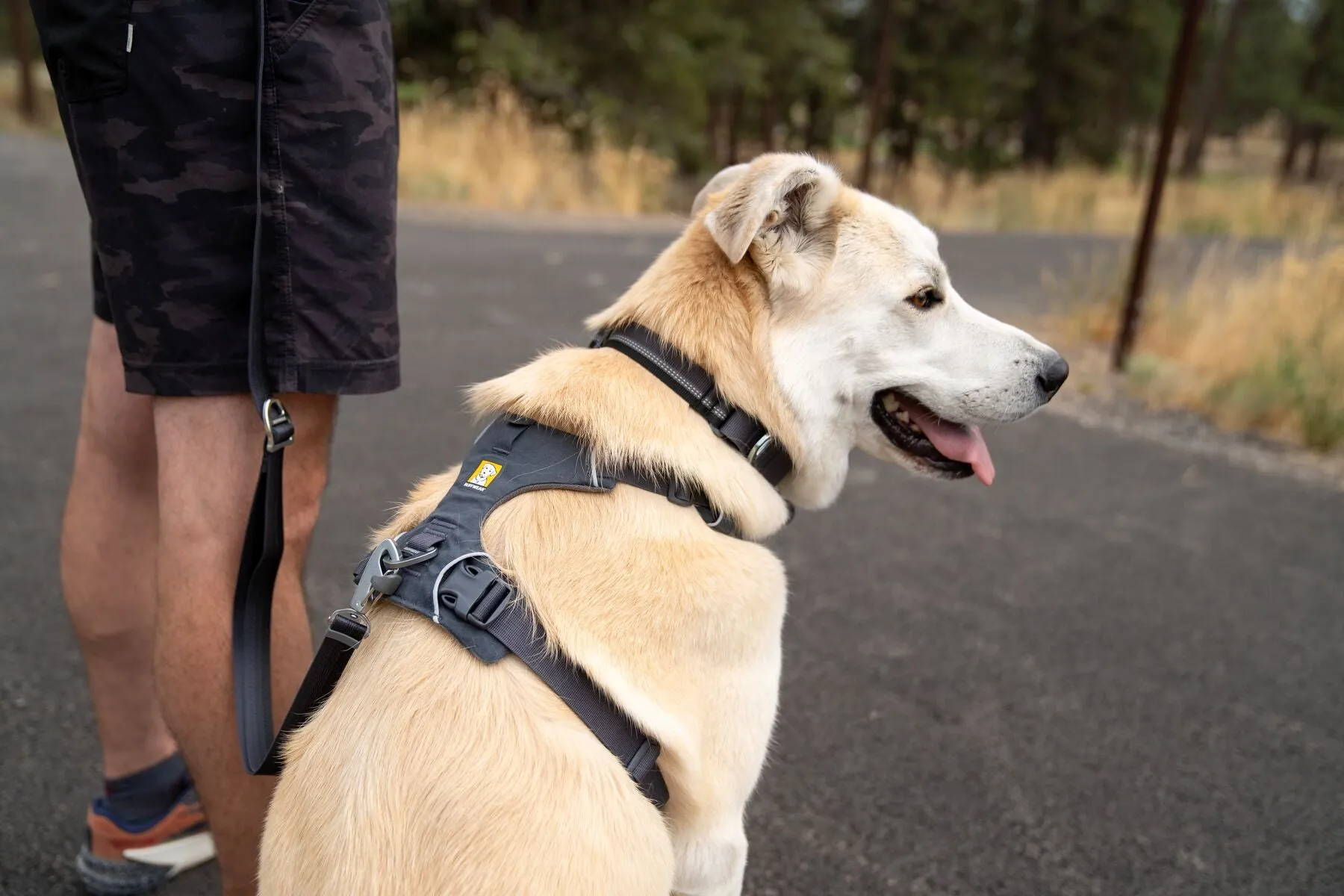 Ruffwear Front Range Harness - Aurora Teal Small (Customer Return)