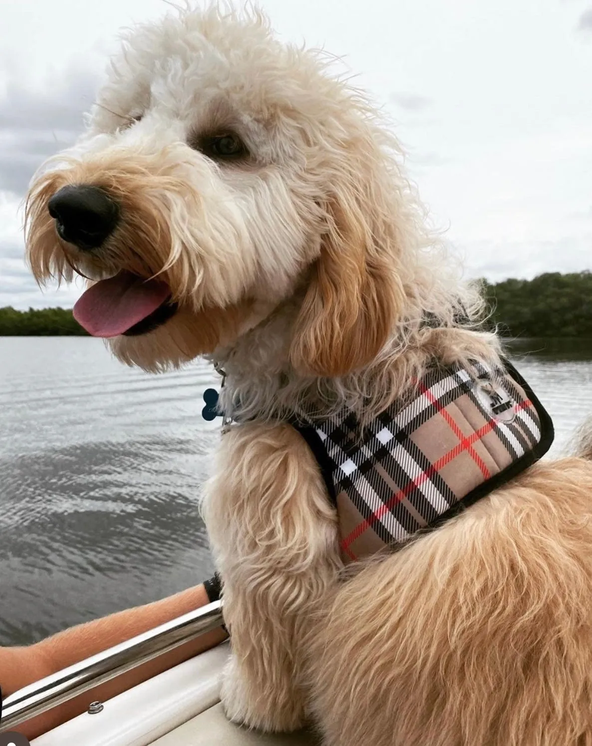 Sidekick Harness | Bias Plaid Tan