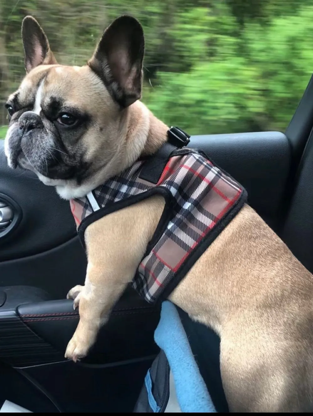 Sidekick Harness | Bias Plaid Tan
