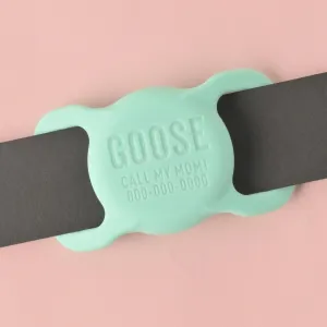 Slide-on Personalized Pet Tag, AirTag holder