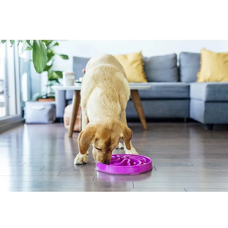 Slo Bowl Fun Feeder Large, Purple