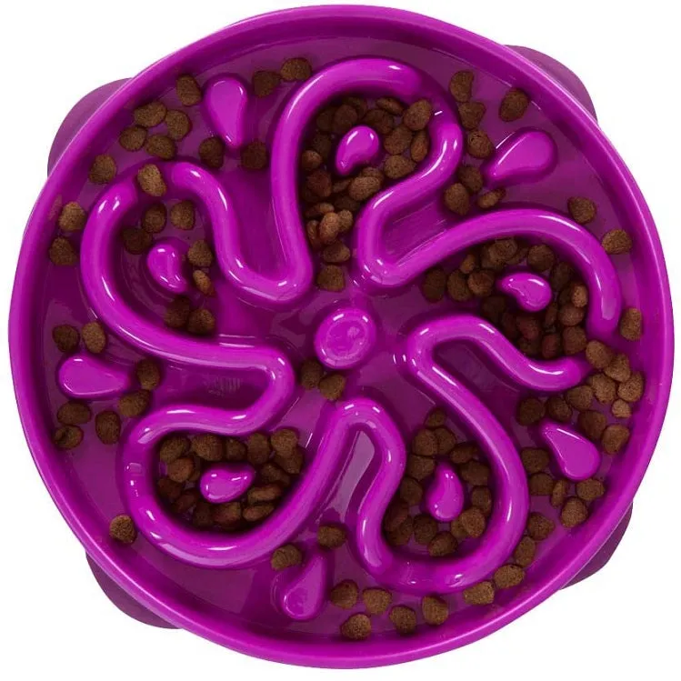 Slo Bowl Fun Feeder Large, Purple