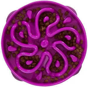Slo Bowl Fun Feeder Large, Purple