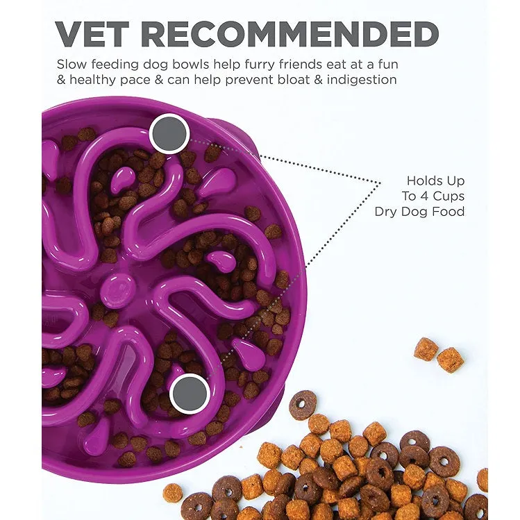 Slo Bowl Fun Feeder Large, Purple