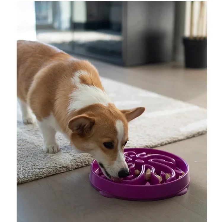 Slo Bowl Fun Feeder Large, Purple