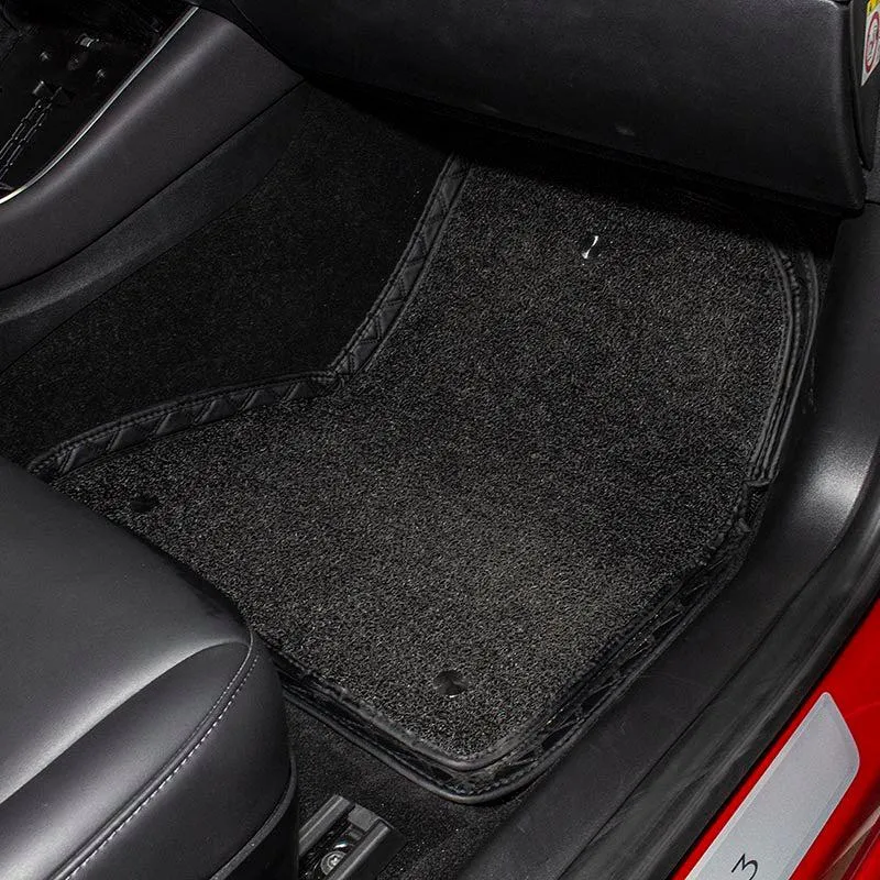 TAPTES All-Weather Interior Floor Mats Set for Tesla Model 3, HOT
