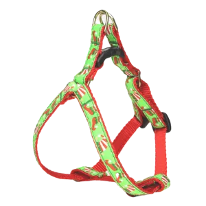 Teacup Harness | Elves