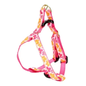 Teacup Harness | Flower Power