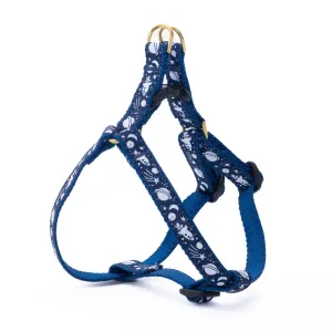 Teacup Harness | Rockets