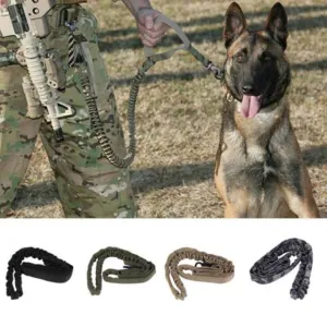 Ultimate Control & Strength: 1000D Nylon Tactical Dog Leash!