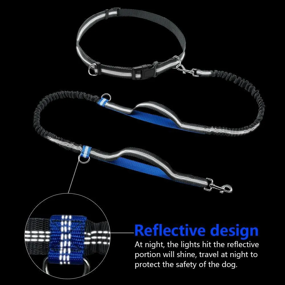 Ultimate Control: Hands-Free Leash with Dual Handle Pet Leads!