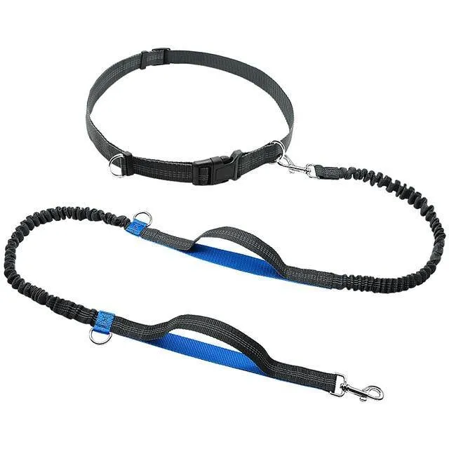Ultimate Control: Hands-Free Leash with Dual Handle Pet Leads!
