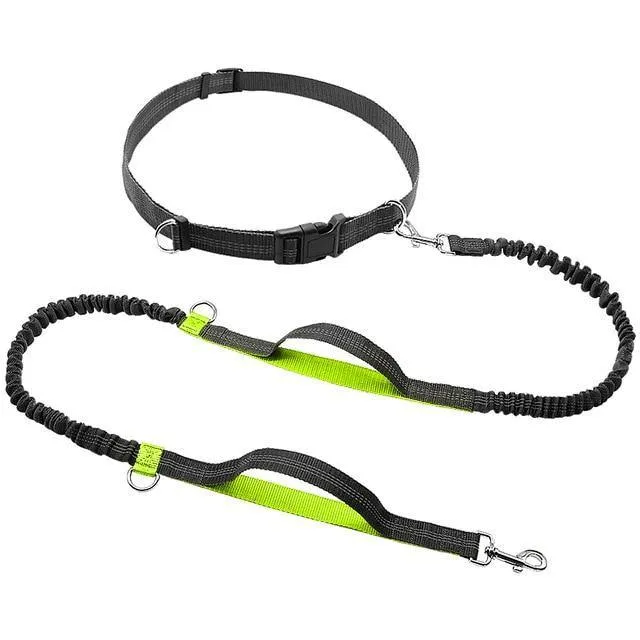 Ultimate Control: Hands-Free Leash with Dual Handle Pet Leads!