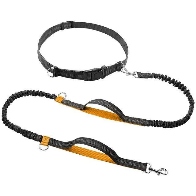 Ultimate Control: Hands-Free Leash with Dual Handle Pet Leads!