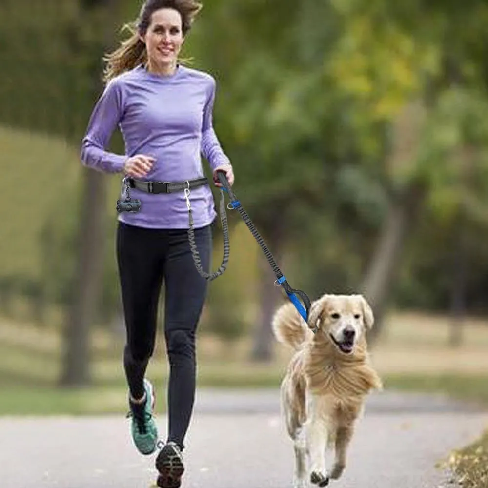 Ultimate Control: Hands-Free Leash with Dual Handle Pet Leads!