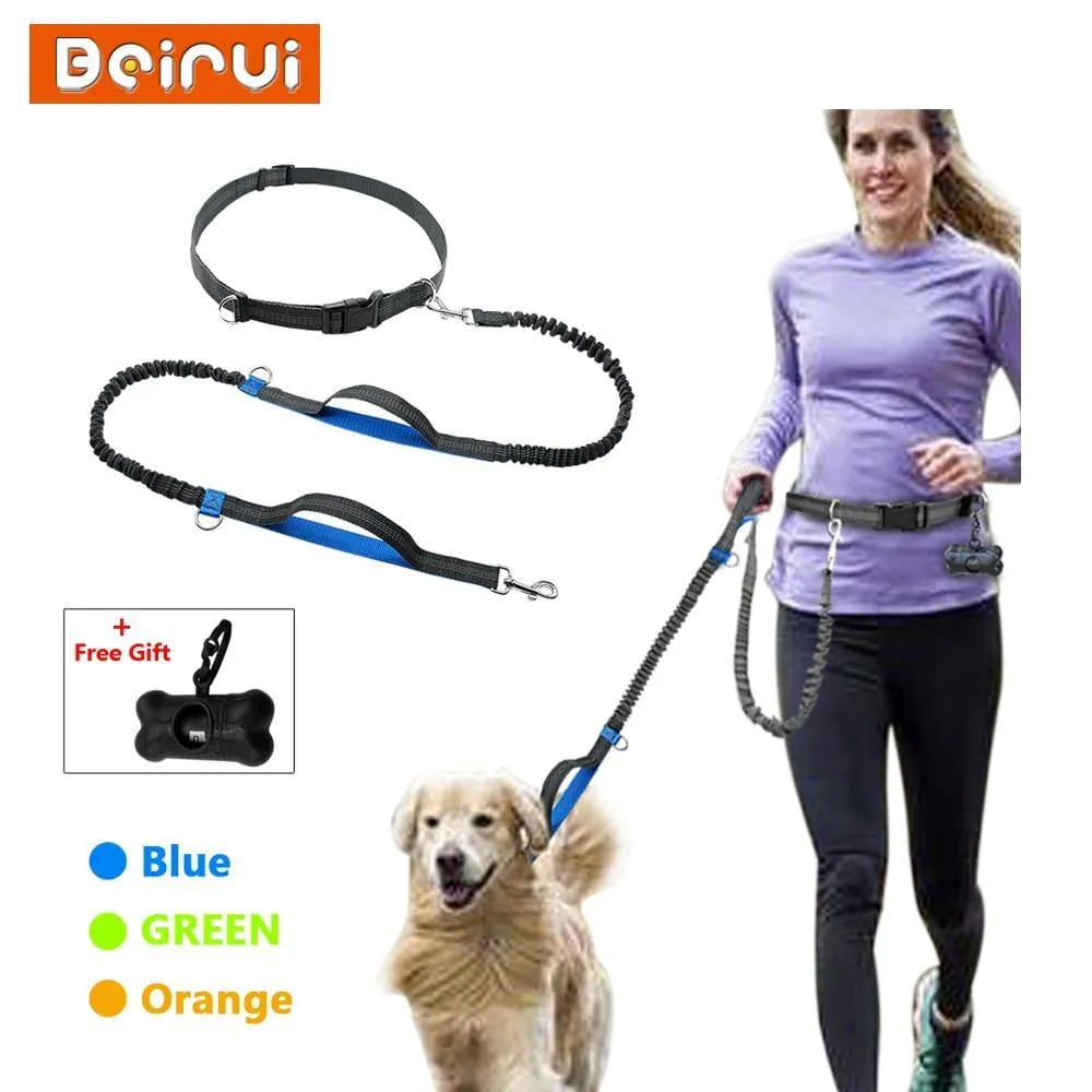Ultimate Control: Hands-Free Leash with Dual Handle Pet Leads!
