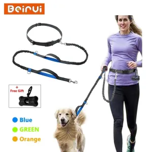 Ultimate Control: Hands-Free Leash with Dual Handle Pet Leads!