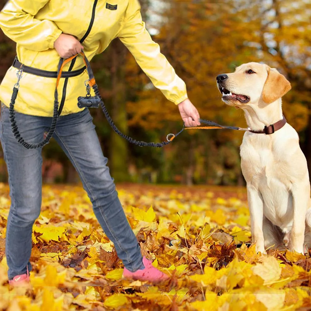 Ultimate Control: Hands-Free Leash with Dual Handle Pet Leads!