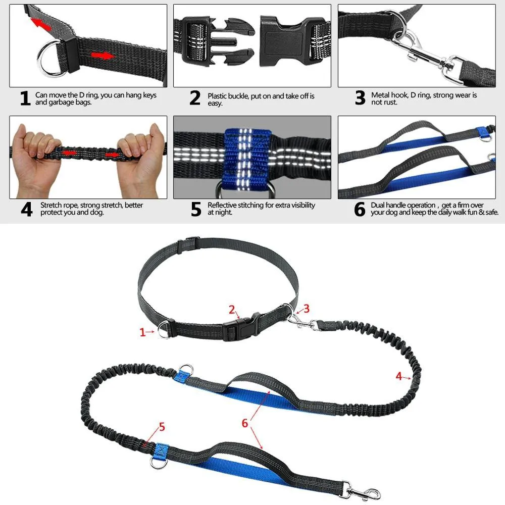 Ultimate Control: Hands-Free Leash with Dual Handle Pet Leads!