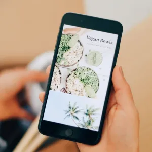 Vegan Bowls eBook