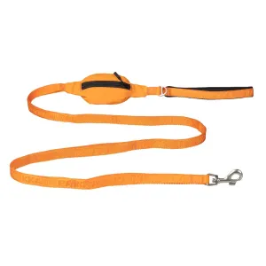 Visibility Dog Leash Orange