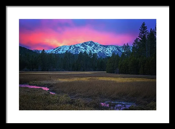 Winter Meadow By Brad Scott - Framed Print
