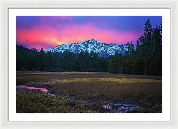 Winter Meadow By Brad Scott - Framed Print