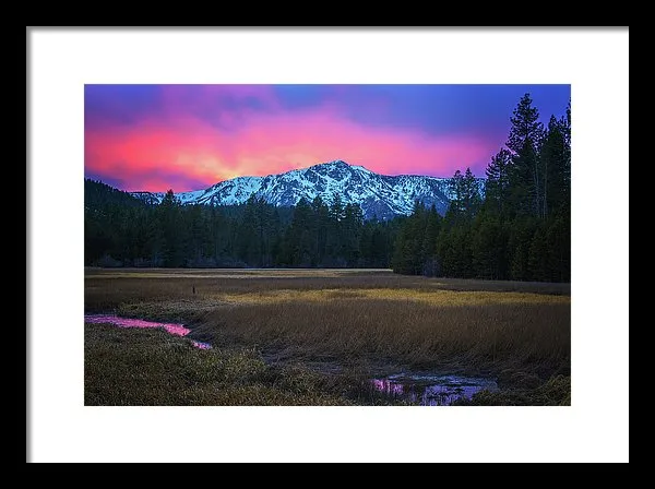 Winter Meadow By Brad Scott - Framed Print