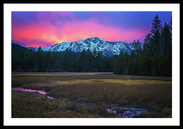 Winter Meadow By Brad Scott - Framed Print