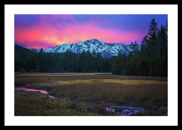 Winter Meadow By Brad Scott - Framed Print